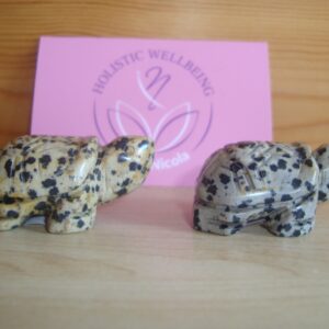 Dalmation Jasper Turtle