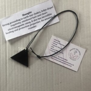 Shungite Triangle Pendant