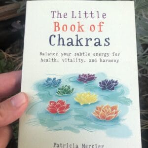 The Little Book of Chakras